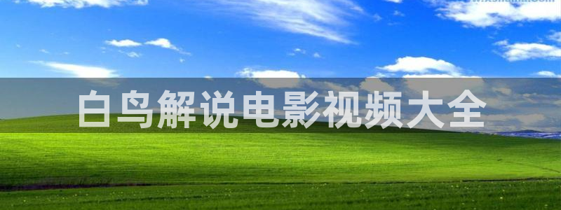 久久视频免费在线观看：白鸟解说电影视频大全