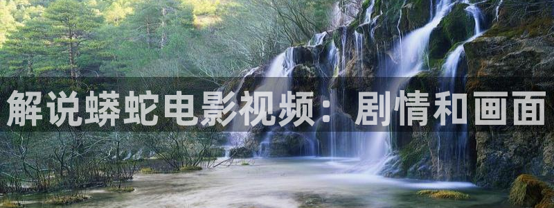 久久久网站在线观看