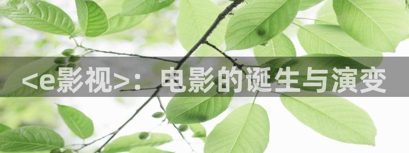 久久久神马电影