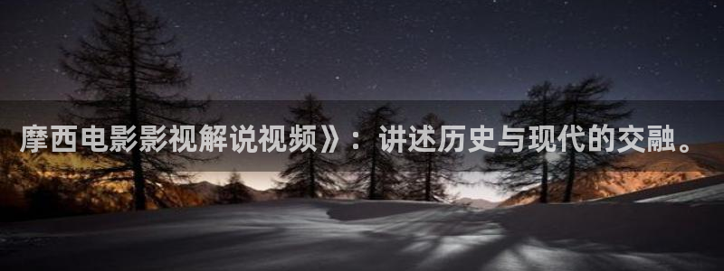 精品久久久电影网：摩西电影影视解说视频》：讲述历史与现代的交融。