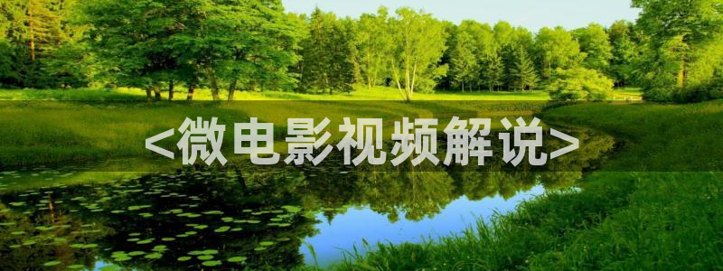 在线久久视频：<微电影视频解说>