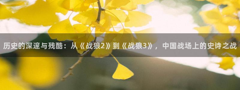 久久视频免费：历史的深邃与残酷：从《战狼2》到《战狼3》，中国战场上的史诗之战