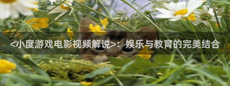 久久视频在线视频2019：<小度游戏电影视频解说>：娱乐与教育的完美结合