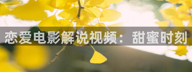 久久久久视频免费看：恋爱电影解说视频：甜蜜时刻