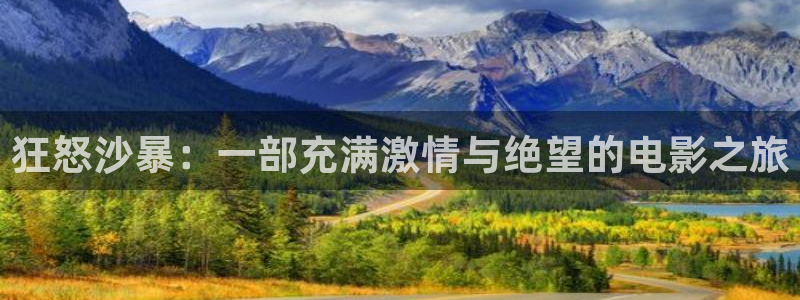 久久视频2：狂怒沙暴：一部充满激情与绝望的电影之旅