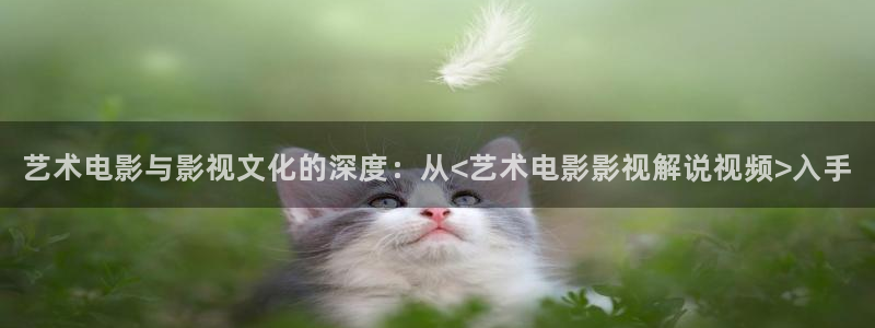 久久久午夜免费影院：艺术电影与影视文化的深度：从<艺术电影影视解说视频>入手
