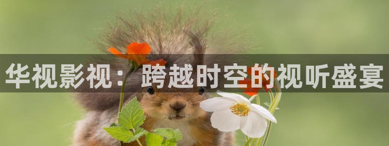 久久视频必出精品：华视影视：跨越时空的视听盛宴