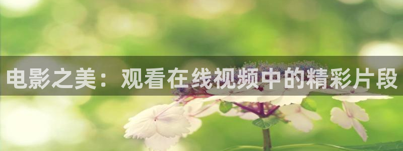 蜜桃久久久亚洲精品成人影院：电影之美：观看在线视频中的精彩片段