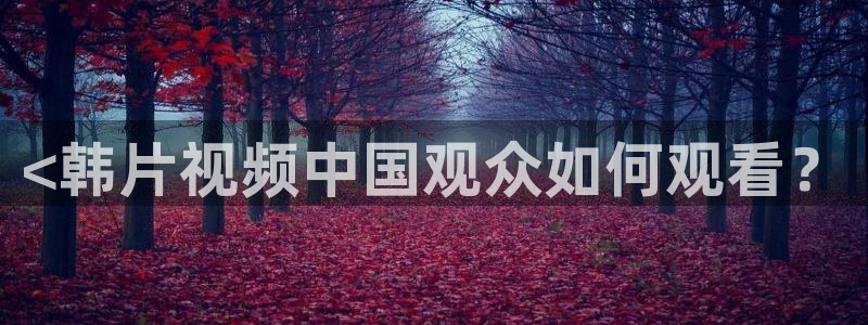 久久久久视频免费：<韩片视频中国观众如何观看？