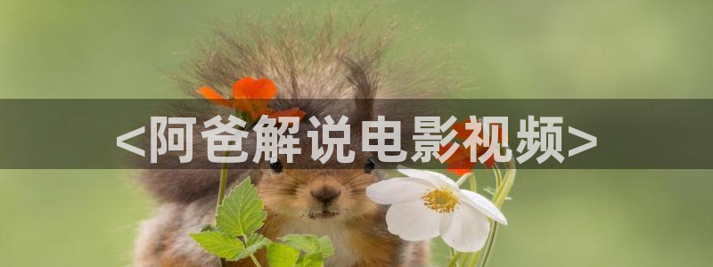神马影院久久久久久：<阿爸解说电影视频>