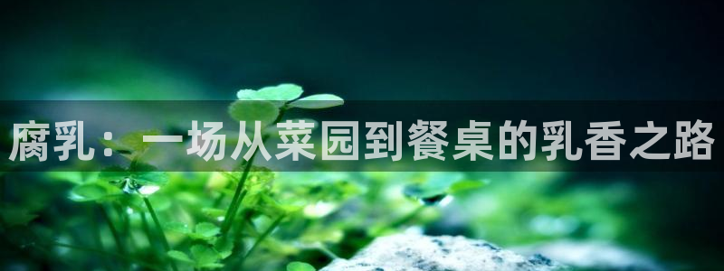 国产精品久久久久影院免费：腐乳：一场从菜园到餐桌的乳香之路