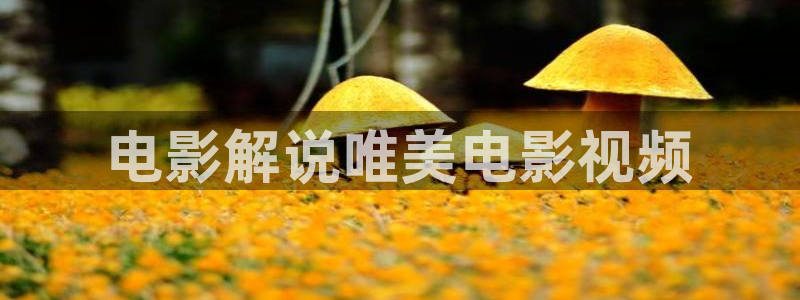 精品大片久久久久久：电影解说唯美电影视频