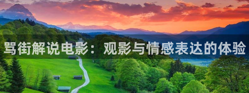 久久视频只有精品在线：骂街解说电影：观影与情感表达的体验