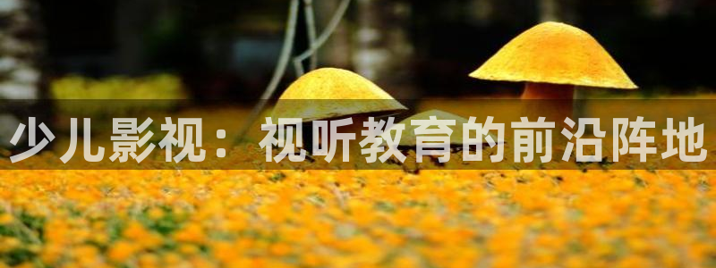 久久视频这里只有精品2：少儿影视：视听教育的前沿阵地