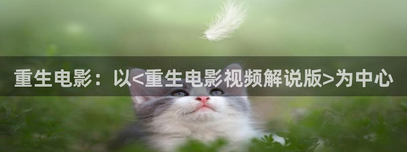 中文久久久影院：重生电影：以<重生电影视频解说版>为中心