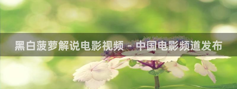 久久视频只有精品：黑白菠萝解说电影视频 - 中国电影频道发布