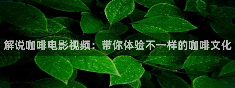 亚洲性久久久影院：解说咖啡电影视频：带你体验不一样的咖啡文化