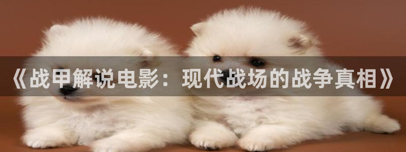 久久视频全集：《战甲解说电影：现代战场的战争真相》
