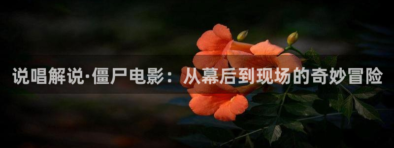 久久久午夜免费电影：说唱解说·僵尸电影：从幕后到现场的奇妙冒险