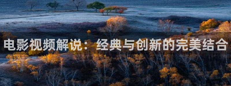午夜寂寞影院精品久久久：电影视频解说：经典与创新的完美结合