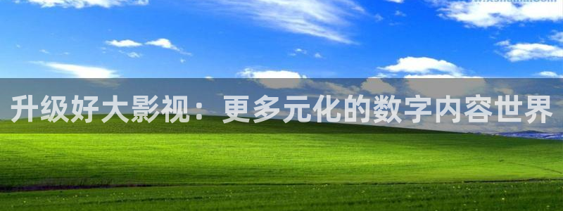 久久久久视频在线观看：升级好大影视：更多元化的数字内容世界