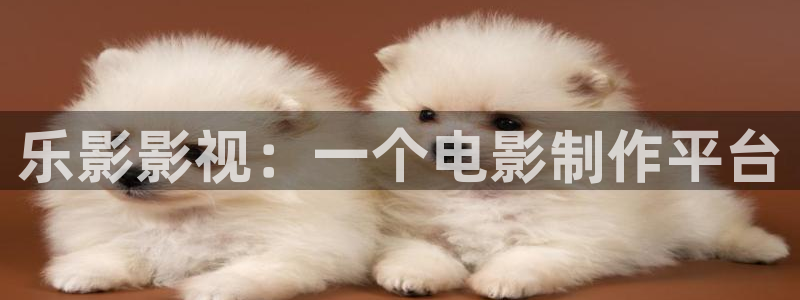 久久久久久视频：乐影影视：一个电影制作平台