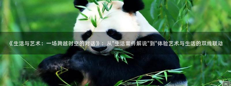 想看久久视频网站：《生活与艺术：一场跨越时空的对话》：从\