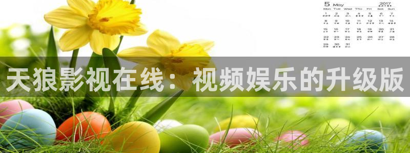 电影久久久久国产精品：天狼影视在线：视频娱乐的升级版