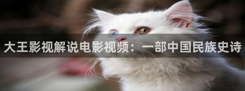 精品久久久久电影一二三四：大王影视解说电影视频：一部中国民族史诗