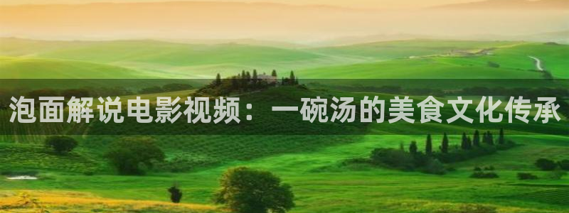 久久视频网站：泡面解说电影视频：一碗汤的美食文化传承