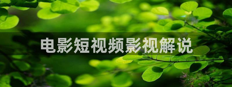 www久久久电影：电影短视频影视解说