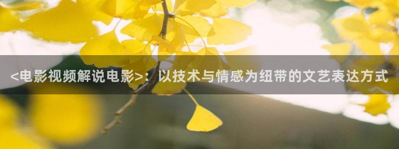 久久视频免费版：<电影视频解说电影>：以技术与情感为纽带的文艺表达方式