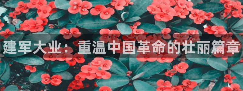 国内精品久久久久久久影片：建军大业：重温中国革命的壮丽篇章