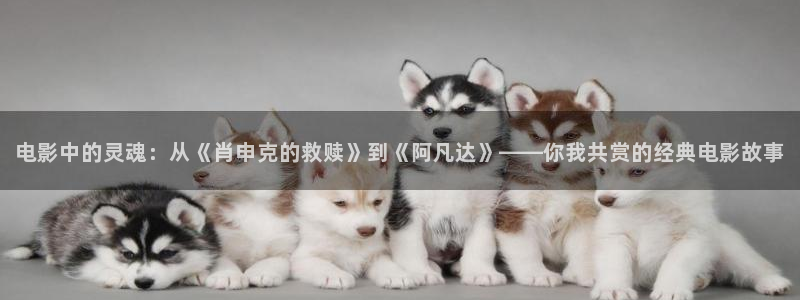 久久久高清影院：电影中的灵魂：从《肖申克的救赎》到《阿凡达》——你我共赏的经典电影故事